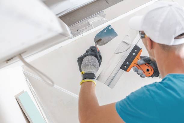 Best Drywall Sanding and Smoothing  in Third Lake, IL